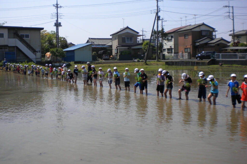 小学生との田植えの様子